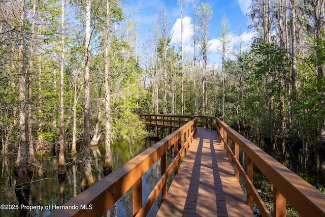 21312 Preservation Dr, Land O Lakes, FL 34638 - dock area with a forest view