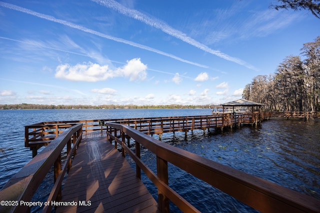 21312 Preservation Dr, Land O Lakes, FL 34638 - view of dock with a water view and a gazebo