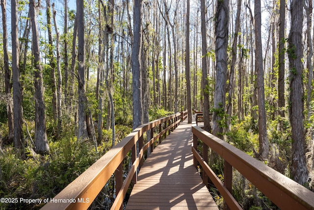 21312 Preservation Dr, Land O Lakes, FL 34638 - view of property's community featuring a forest view