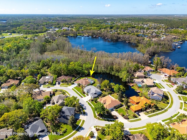 21312 Preservation Dr, Land O Lakes, FL 34638 - bird's eye view with a residential view, a water view, and a view of trees