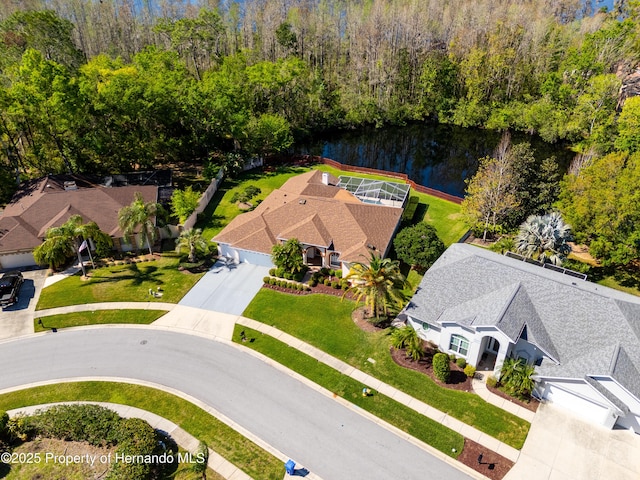 21312 Preservation Dr, Land O Lakes, FL 34638 - birds eye view of property with a water view