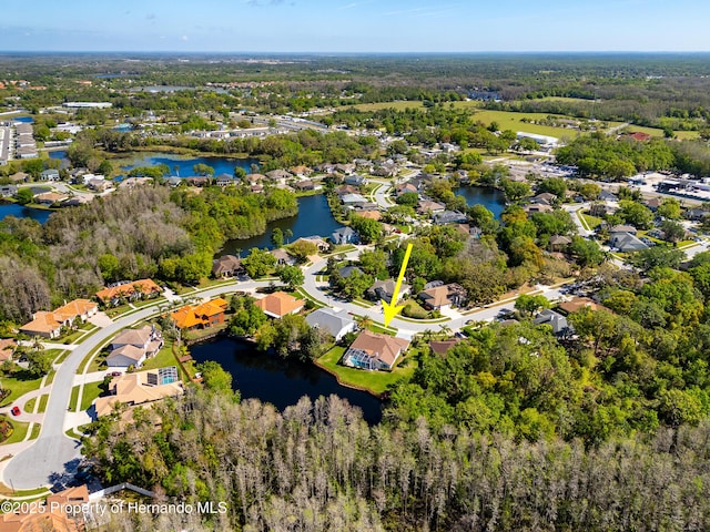 21312 Preservation Dr, Land O Lakes, FL 34638 - bird's eye view featuring a residential view, a water view, and a view of trees
