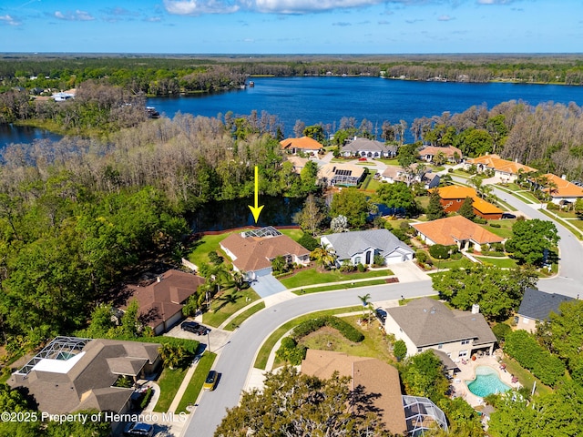 21312 Preservation Dr, Land O Lakes, FL 34638 - bird's eye view featuring a water view, a view of trees, and a residential view