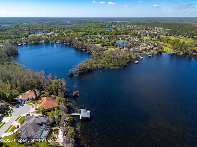 21312 Preservation Dr, Land O Lakes, FL 34638 - bird's eye view featuring a forest view and a water view