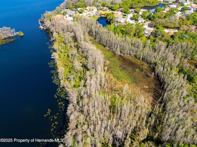 21312 Preservation Dr, Land O Lakes, FL 34638 - aerial view with a water view