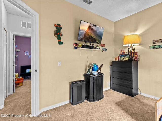 interior space with light colored carpet and a textured ceiling