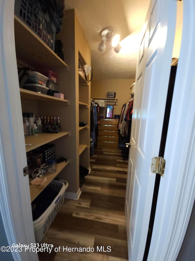 walk in closet with dark hardwood / wood-style floors