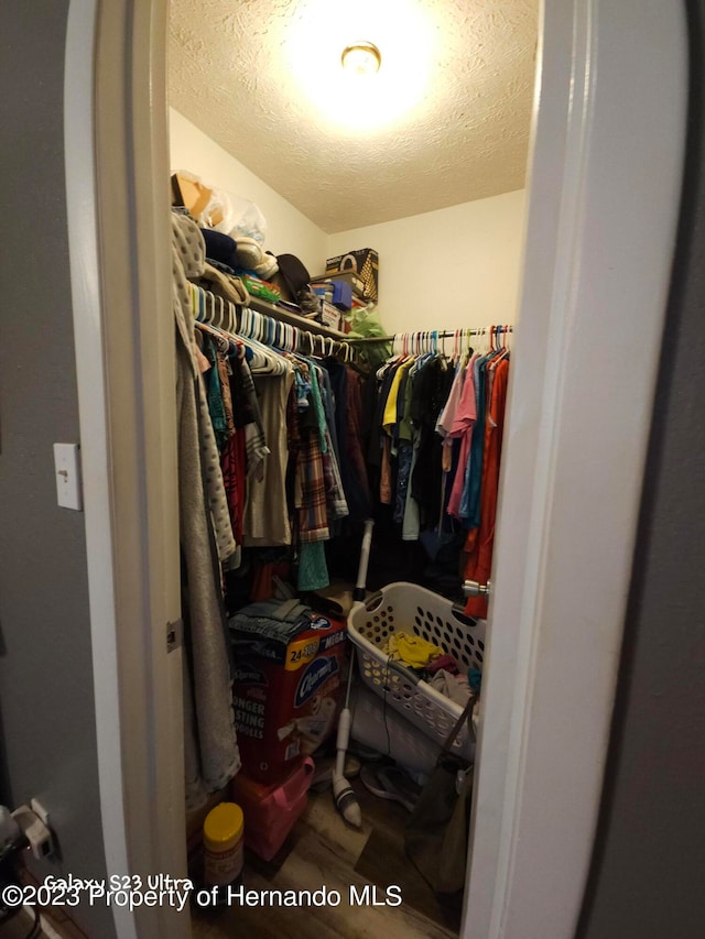 view of walk in closet