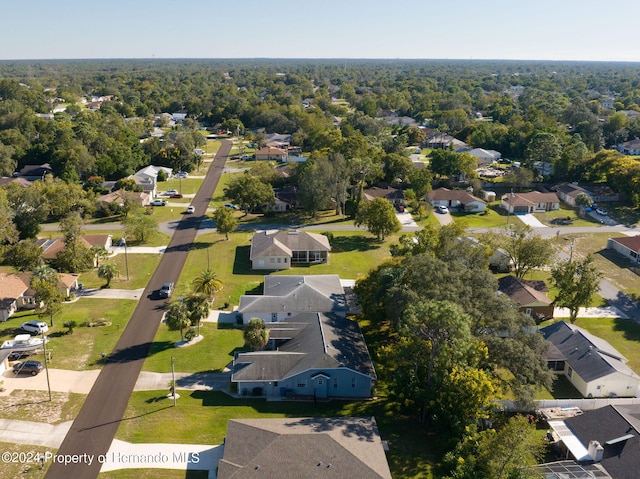 bird's eye view