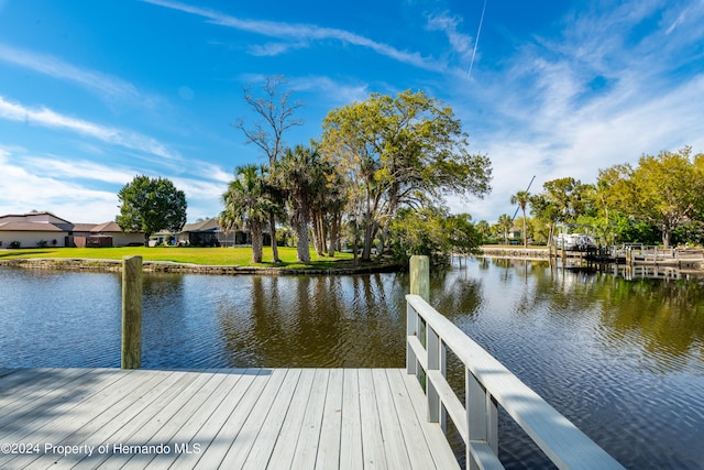 dock area featuring a water view