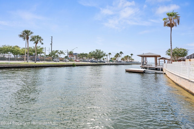 dock area with a water view