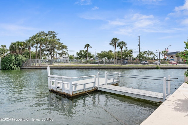 dock area with a water view