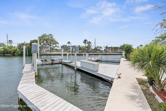 dock area with a water view