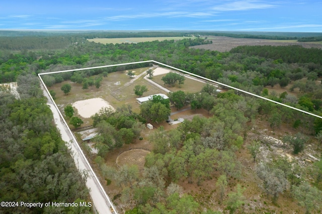 4148 Batten Rd, Brooksville, FL 34602 - photo 6