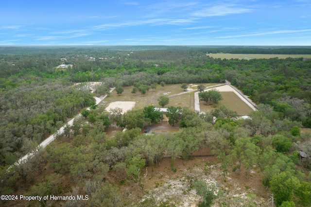 4148 Batten Rd, Brooksville, FL 34602 - photo 72