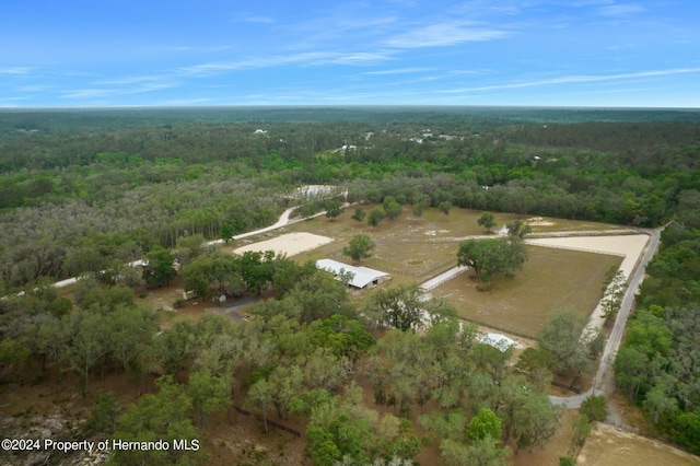 4148 Batten Rd, Brooksville, FL 34602 - photo 73