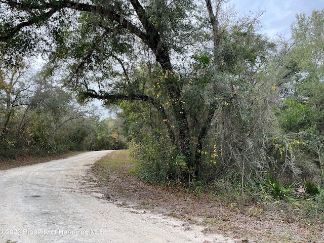 Listing photo 2 for LOT7 Coalstone Dr, Webster FL 33597