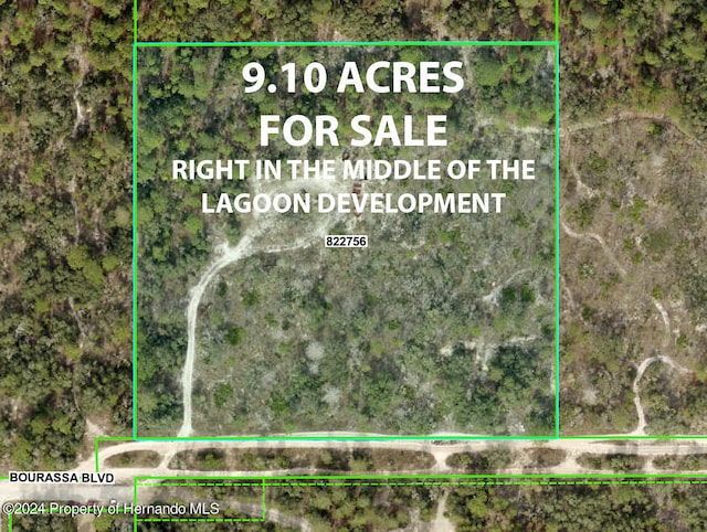 11011 Bourassa Blvd, Weeki Wachee, FL 34613