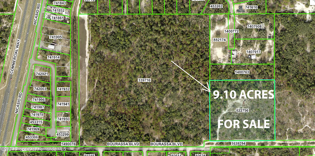 Listing photo 3 for 11011 Bourassa Blvd, Weeki Wachee FL 34613