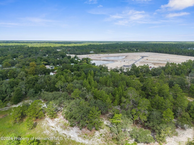 11011 Bourassa Blvd, Weeki Wachee, FL 34613