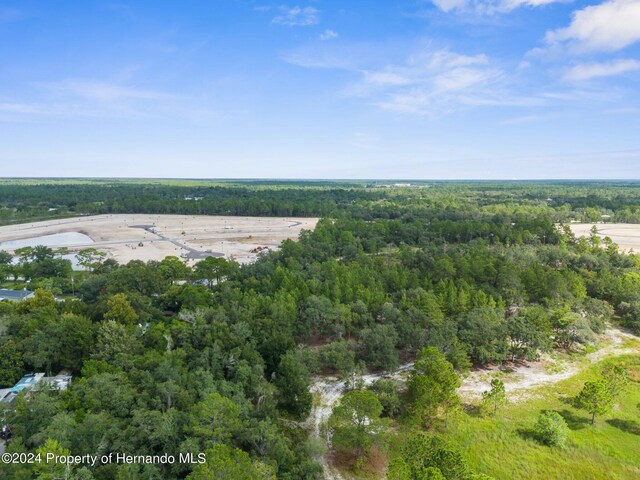 11011 Bourassa Blvd, Weeki Wachee, FL 34613