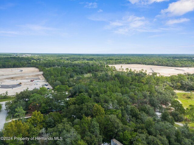 11011 Bourassa Blvd, Weeki Wachee, FL 34613