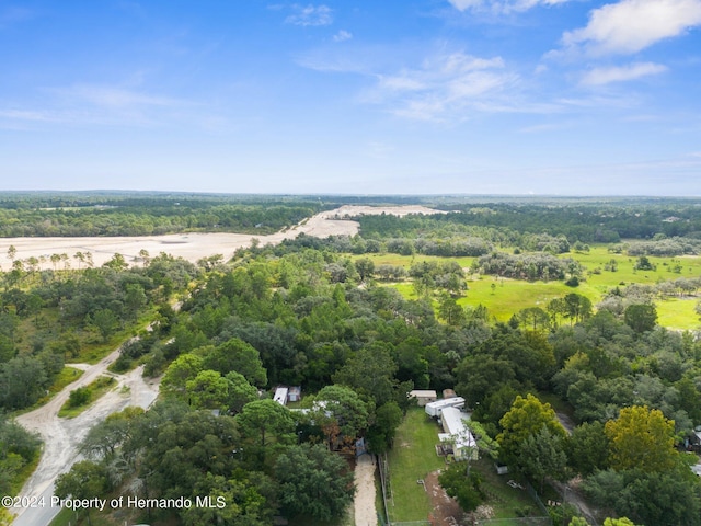 11011 Bourassa Blvd, Weeki Wachee, FL 34613