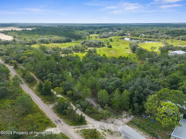11011 Bourassa Blvd, Weeki Wachee, FL 34613