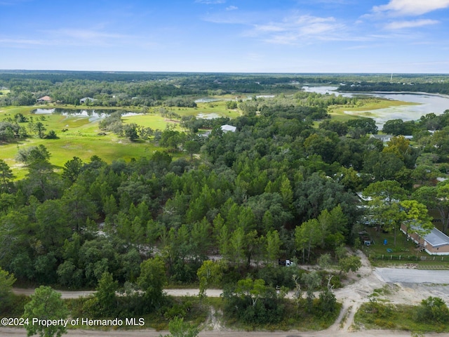 11011 Bourassa Blvd, Weeki Wachee, FL 34613