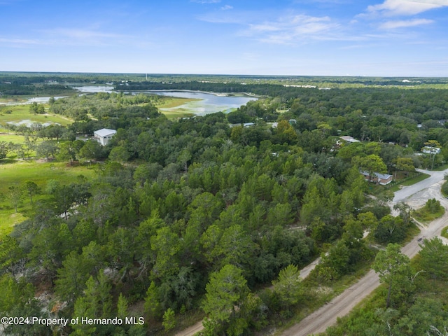 11011 Bourassa Blvd, Weeki Wachee, FL 34613