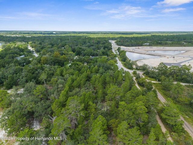 11011 Bourassa Blvd, Weeki Wachee, FL 34613