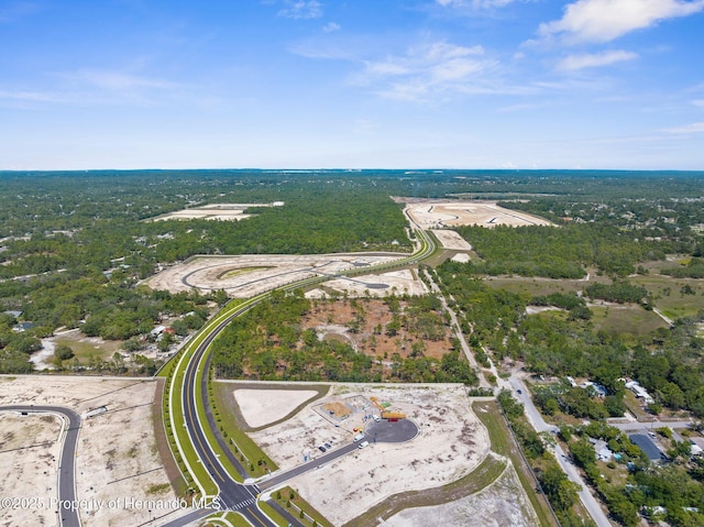11011 Bourassa Blvd, Weeki Wachee, FL 34613