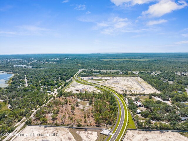 11011 Bourassa Blvd, Weeki Wachee, FL 34613