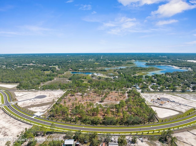 11011 Bourassa Blvd, Weeki Wachee, FL 34613
