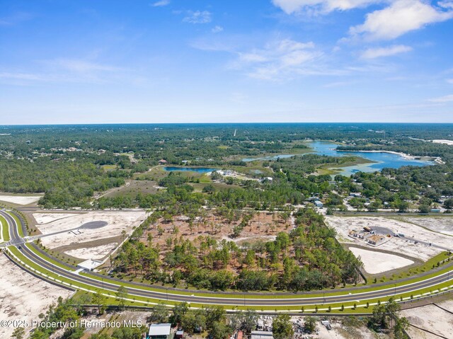11011 Bourassa Blvd, Weeki Wachee, FL 34613 - photo 19