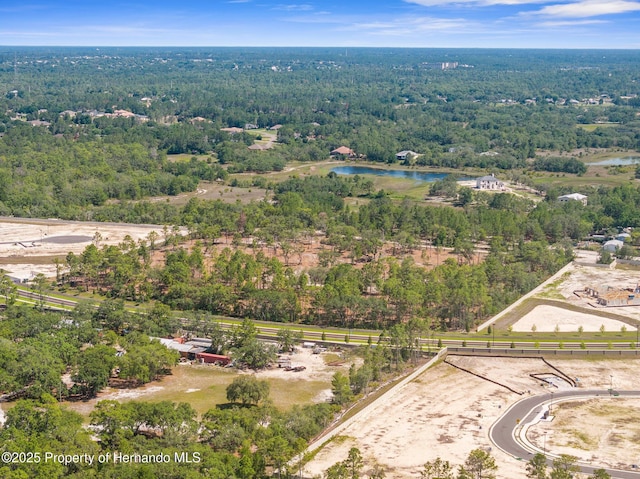 11011 Bourassa Blvd, Weeki Wachee, FL 34613