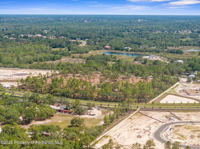 11011 Bourassa Blvd, Weeki Wachee, FL 34613 - photo 20