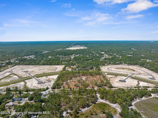 11011 Bourassa Blvd, Weeki Wachee, FL 34613