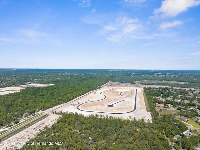 11011 Bourassa Blvd, Weeki Wachee, FL 34613
