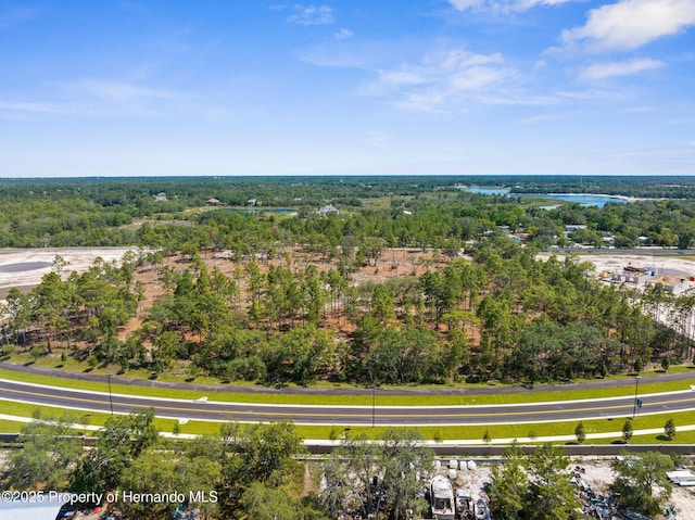 11011 Bourassa Blvd, Weeki Wachee, FL 34613