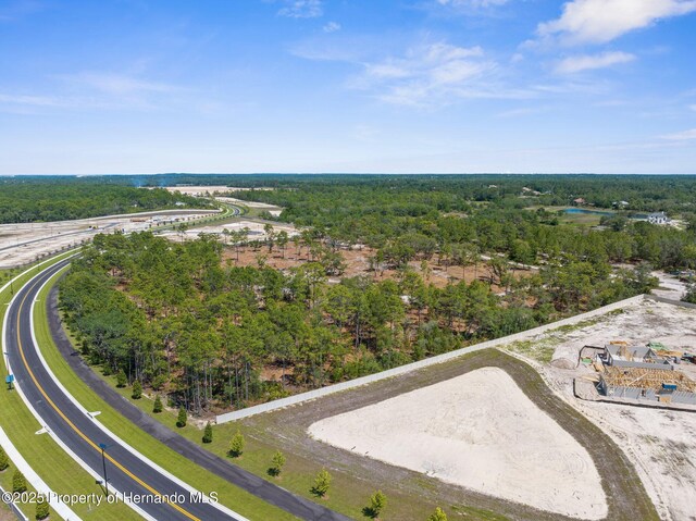 11011 Bourassa Blvd, Weeki Wachee, FL 34613