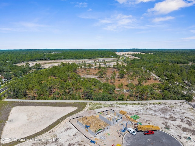 11011 Bourassa Blvd, Weeki Wachee, FL 34613