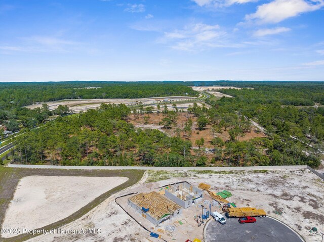 11011 Bourassa Blvd, Weeki Wachee, FL 34613 - photo 26