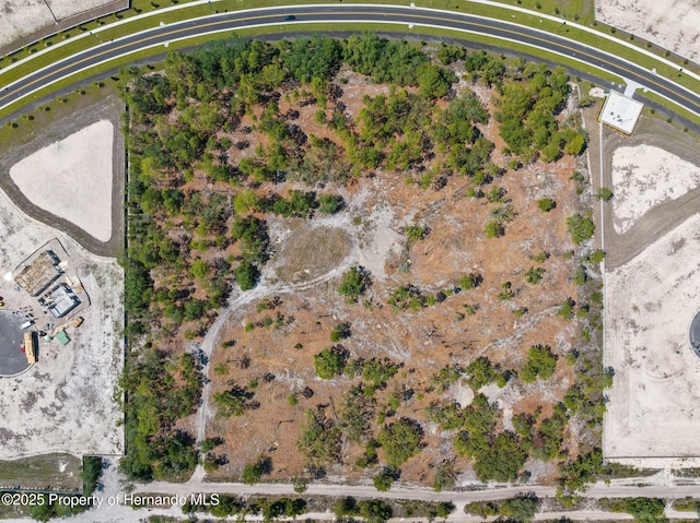 11011 Bourassa Blvd, Weeki Wachee, FL 34613