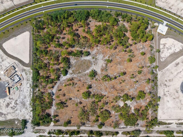11011 Bourassa Blvd, Weeki Wachee, FL 34613 - photo 27