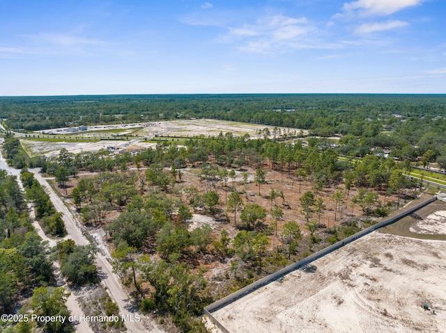 11011 Bourassa Blvd, Weeki Wachee, FL 34613