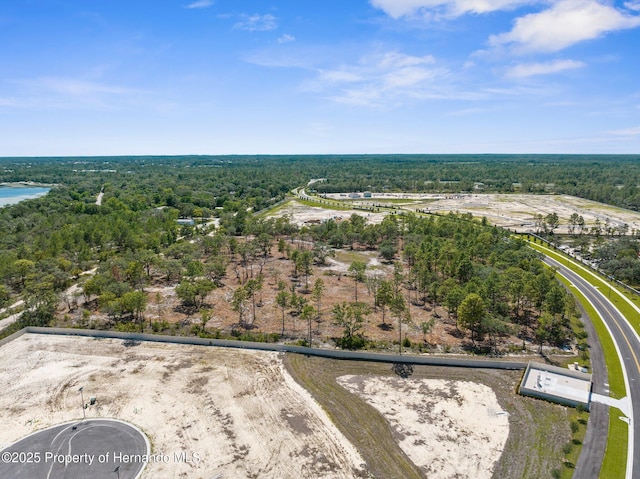 11011 Bourassa Blvd, Weeki Wachee, FL 34613