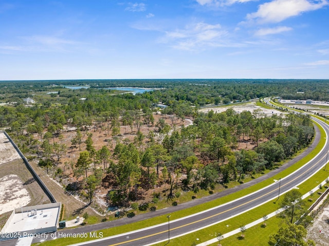11011 Bourassa Blvd, Weeki Wachee, FL 34613