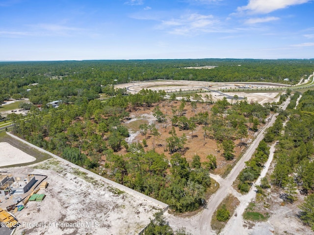 11011 Bourassa Blvd, Weeki Wachee, FL 34613