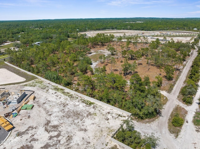 11011 Bourassa Blvd, Weeki Wachee, FL 34613